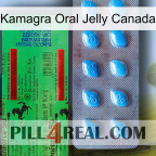 Kamagra Oral Jelly Canada new03